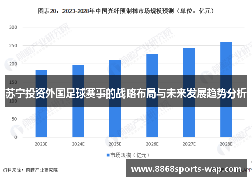 苏宁投资外国足球赛事的战略布局与未来发展趋势分析